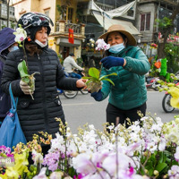 Bán Nhà Mặt Phố Tại Hoàng Hoa Thám, Gần Chợ Bưởi Sầm Uất Nhất Phố.
