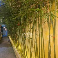 Cho Thuê Shophouse Siêu Hot Ở Võ Thị Sáu, 50 Triệu, 295M2