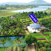 Cưkuin- Đắk Lắk 200M1 Sẵn Thổ Cư Cách Tỉnh Lộ 100M Giáp Hồ Thắng Lợi Giá Siêu Rẻ Chỉ 169 Triệu