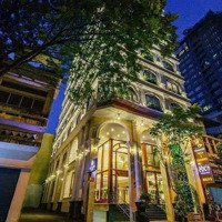 Building Mặt Tiền Trần Hưng Đạo Vị Trí Đẹp Hầm 7 Tầng .Quận 1 _Dt 8X16 _Hdt 250 Triệu_Bán 68 Tỷ