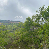 3519M2 Đất Nn Quy Hoạch Full Thổ Cư, Tại Trạm Hành- Đà Lạt, Gần Ql. Giá Bán 14 Tỷ Giảm Còn 10 Tỷ