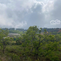3519M2 Đất Nn Quy Hoạch Full Thổ Cư, Tại Trạm Hành- Đà Lạt, Gần Ql. Giá Bán 14 Tỷ Giảm Còn 10 Tỷ