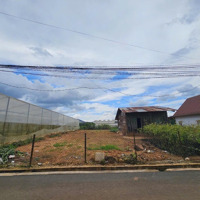 459M2 Đất Thổ Cư Tại Xuân Thọ- Đà Lạt, Đất Bằng Phẳng, Gần Ql. Giá Bán 5,8 Tỷ Tl