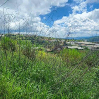 711M2 Đất Thổ Cư Mặt Tiền Ql20 Tại Xuân Thọ- Đà Lạt, Đất Triền Nhẹ, View Săn Mây