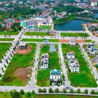 Bán Bt Tại Kđt Bắc Đầm Vạc, 52 Triệu / M2, 272 M2, Giá Tốt