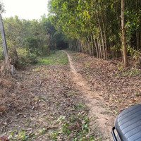 Bán 1000M2 Đất Phước Bình, Đường Oto Đi, Cách Đường 51C (Trục Chính Vào Kcn Phước Bình)