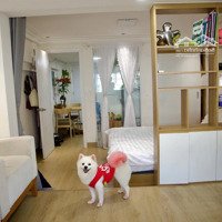 Căn Hộ Mini 1 Phòng Ngủ1Pk Tách Bếp Full Nội Thất Bancol Cửa Sổ Thoáng Mát Ngay Bùng Binh Lê Văn Sỹ