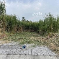 Cần Vốn Bán Nhanh 120M2 Đất Tcmặt Tiềnsư Vạn Hạnh, Rạch Giá, Kiên Giang Giá Bán 600 Triệu Gần Công An P.an Bình