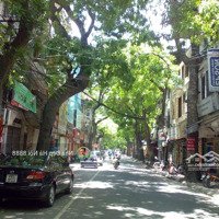Lý Nam Đế - Khu Vip An Ninh Tuyệt Đối, Đẳng Cấp Giới Tinh Hoa - Chủ Tặng Full Nội Thất