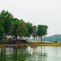 Bán Đất Mặt Hồ Đồng Mô, Đường Quốc Lộ 21 Giá Rẻ