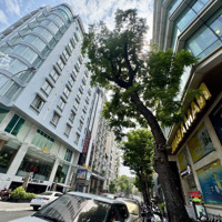 Bán Building Calista-Góc 2 Mặt Tiền 247 Lý Tự Trọng&57 Lê Anh Xuân, Bến Thành, Quận 1