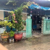Chủ Ngộp Ngân Hàng Cần Bán Gấp Nhà Cấp 4 Giá Bán 1,5 Tỷ