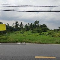 Hàng Hiếm Siêu Đẹp Bán Lô Đất Tại Đường Hùng Vương, 300M2, Cách Chợ An Điền Bến Cát 300M