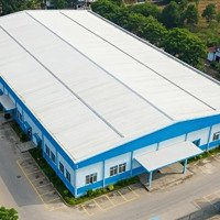 Chuyển Nhượng Nhà Xưởng 1Ha Trong Kcn Tỉnh Vĩnh Phúc (Vị Trí Đắc Địa - Giá Hấp Dẫn)