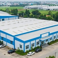 Chuyển Nhượng Nhà Xưởng 1Ha Trong Kcn Tỉnh Vĩnh Phúc (Vị Trí Đắc Địa - Giá Hấp Dẫn)