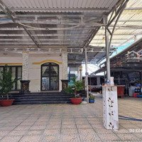 Bán Trang Trại Bao Đẹp Tại Đt 818, Tân Thành, Thủ Thừa, Long An, 12 Tỷ, 6300M2