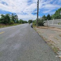 Bán Trang Trại Bao Đẹp Tại Đt 818, Tân Thành, Thủ Thừa, Long An, 12 Tỷ, 6300M2