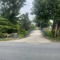 Vườn 2Mt 2270M2 (68X34) Đường Xe Hơi, Cách Đt816 300M, Cho Lên Full Thổ