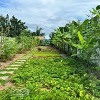 Bán Đất Diên Phú, 1,15 Tỷ, 173M2 Giá Cực Chất. Bao Gpxd ( Điện+Nước) Sang Tên Khách