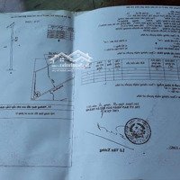 Bán Đất Đường Tô Nguyệt Đình, Trung Tâm Hắc Dịch Phú Mỹ, 10X175M Full Hồng 6,5 Tỷ Giá Siêu Tốt