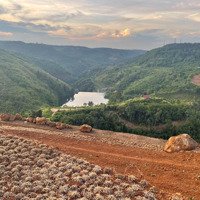 Chính Chủ Cần Bán 3.8Ha Đất Tại Phường Nghĩa Tân - Gia Nghĩa - Đắk Nông