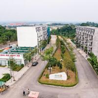 Bán căn LK10-18, DT 96m2, hướng ĐN tại dự án Cẩm Khê Central Park City