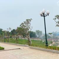 Bán căn LK10-18, DT 96m2, hướng ĐN tại dự án Cẩm Khê Central Park City
