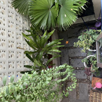 Bán Gấp Nhà Mặt Phố Lý Thường Kiệt, 230 Tỷ, 400M2, 1 Phòng Ngủ 2 Vệ Sinh View Đẹp