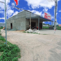 Trúng Đấu Giá Để Lại 04 Lô Đất Biển Bình Thuận, Đường Lớn 29M, Cạnh Thị Trấn Liên Hương.