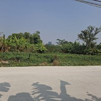 Bán Đất Kim Xà Đông Tảo Khoái Châu Hưng Yên Diện Tích: 1476M2 * 40M * 19,9 Tỷ