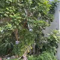 Đất Nền Khu Dân Cư Phú Mỹ - Chợ Lớn