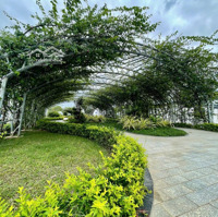 Cần Bán Nhà Lk Gói 8 Kđt Mỹ Gia , Diện Tích: 100M2 Ngang 5M Giá Bán Nhanh 4,2 Tỷ Bao Thuế, Phí