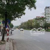 Bán Nhà Mặt Phố Tại Ngô Gia Tự, 55 Tỷ, 204M2, Giá Tốt Hot!