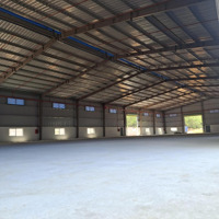 Cho Thuê Nhà Xưởng 1500M2 Tại Thuận An, Bình Dương.