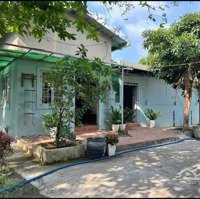 Tại Sao Chỉ Với 199 Triệu, Bạn Nên Chọn Đất Vườn Đồng Phú Thay Vì Nơi Khác