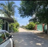 Tại Sao Chỉ Với 199 Triệu, Bạn Nên Chọn Đất Vườn Đồng Phú Thay Vì Nơi Khác