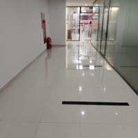 Cho Thuê Sàn Diện Tích Văn Phòng 32M2 Khu Văn Phòng Toà Nhà Stella Garden, 35 Lê Văn Thiêm