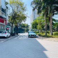 Bán Liền Kề Trần Hữu Dực - Mỹ Đình 80M2 19 Tỷ Sẵn Nhà Làm Văn Phòng Cực Đẹp