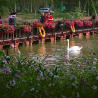 Eco Retreat Long An - Ecopark chính thức nhận booking giá từ 5 tỷ
