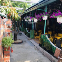 Bán Đất Diện Tích Khủng, Tặng Quán Cafee Ngay Trường Đại Học Sư Phạm - P.hòa Minh, Q.liên Chiểu.