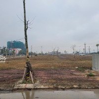 Bán Đất Đấu Giá 100M2 Tại Bạch Đa, Kim Hoa, Mê Linh
