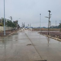 Bán Đất Đấu Giá 100M2 Tại Bạch Đa, Kim Hoa, Mê Linh
