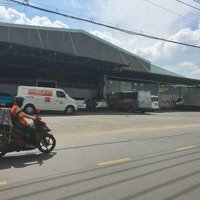 Cho Thuê (Nhà Cấp 4) Đường Lê Trọng Tấn, Quận Tân Phú(45X65M), Giá Cho Thuê 280 Triệu/Tháng