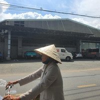 Cho Thuê (Nhà Cấp 4) Đường Lê Trọng Tấn, Quận Tân Phú(45X65M), Giá Cho Thuê 280 Triệu/Tháng
