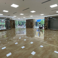 Văn Phòng Cạnh Gadernia Tầng Đẹp Ô Góc Full Kính Có Thể Vào Ngay Cho Thuê Lâu Dài Cạnh Bãi Đỗ Oto