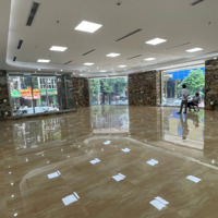 Văn Phòng Cạnh Gadernia Tầng Đẹp Ô Góc Full Kính Có Thể Vào Ngay Cho Thuê Lâu Dài Cạnh Bãi Đỗ Oto