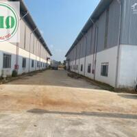 Cho thuê nhà xưởng nhiều diện tích  từ 2.380m2  ở KCN Đồng Phú, Bình Phước