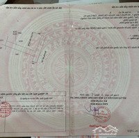 Bán Đất Tại Ba Tân, Phước Lâm, Cần Giuộc, Long An, 1,1 Tỷ, 124M2