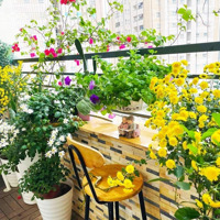 Quỹ Căn Stu - 1N - 2N - 3N Giá Tốt Cập Nhật Liên Tục Tại Vinhomes Ocean Park Pháp Lý Rõ Ràng