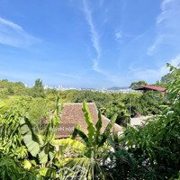 Cho Thuê Nhà Vườn Trên Đồi View Toàn Cảnh Tttp Nha Trang Cạnh Sông Tắc Không Khí Mát Mẻ